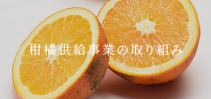 柑橘供給事業について