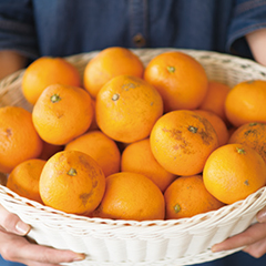 本来の価値で柑橘農家さんと消費者をつなぐ再生プロジェクト